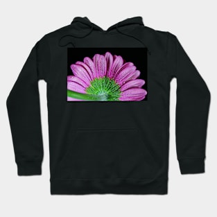 Pink Gerbera Daisy Hoodie